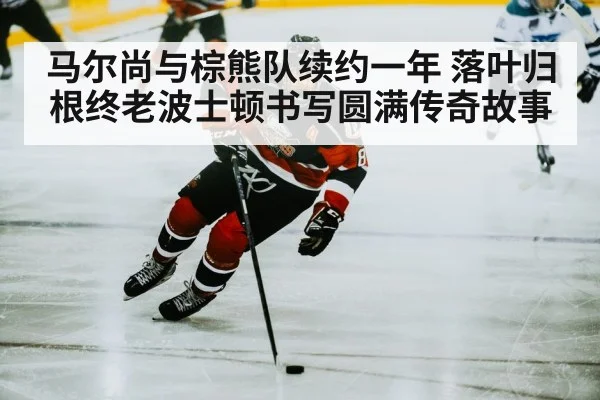 马尔尚与棕熊队续约一年 落叶归根终老波士顿书写圆满传奇故事